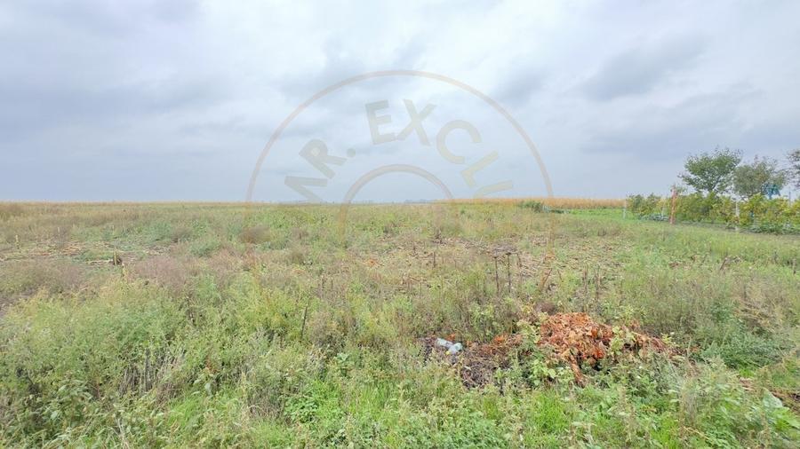 Casa 4 camere, Teren 3.405 mp Loc. Dindestiu Mic Jud. Satu Mare-Comision 0% - 10