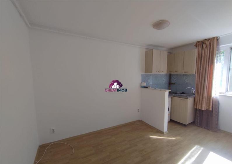 Garsoniera Baicului/Doamna Ghica - 8