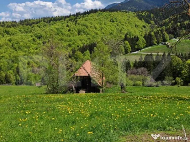 Teren intravilan 3400 mp, in Balaban - Simon, Bran - Brasov - 4