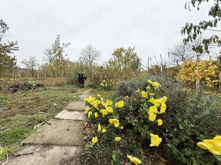 Casa ?i teren de vanzare - Frumu?i?a, Gala?i - 9