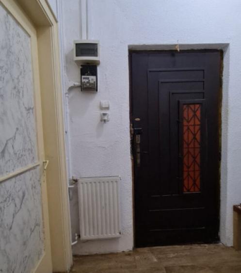 Vila parcul Tineretului- Sincai metrou-pentru 2 familii - 13