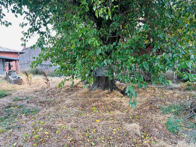 Super Teren intravilan 938 mp Chiajna- 15,5 mp/ 60 mp- ideal pentru investitie - 8