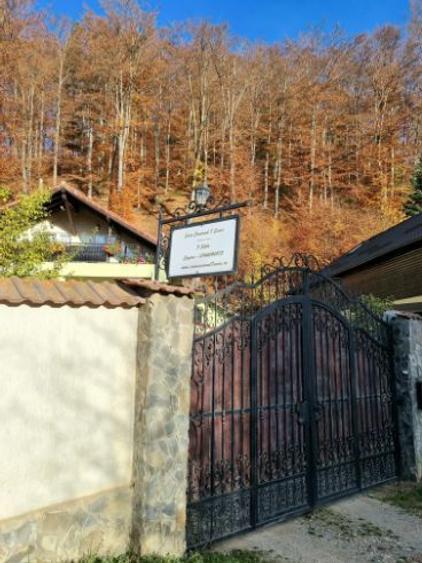 De vanzare Vila Canionul 7 Scari - 2