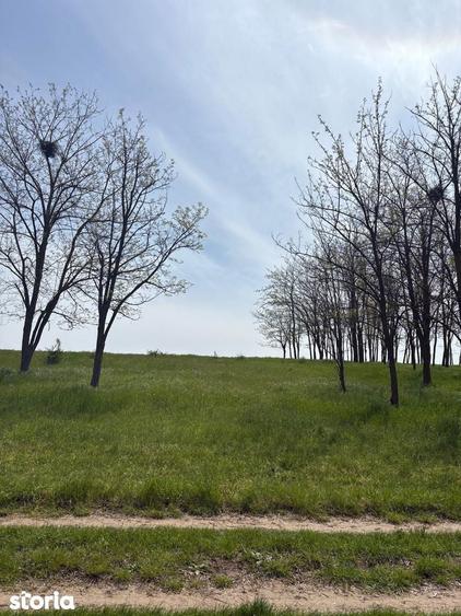 Oportunitate ideala pentru casa langa lac si padure de salcami - 2