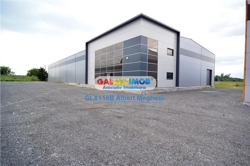 Vanzare Spatiu Depozitare/Hala Centura-Mogosoaia - 1