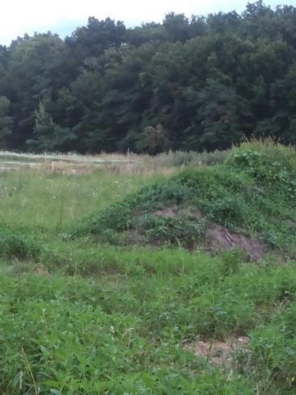 Teren constructii - 1