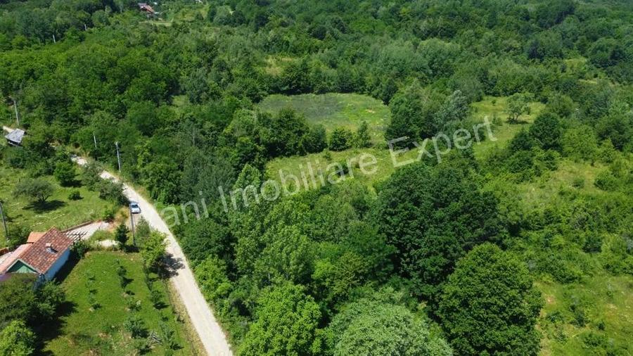 Teren de vanzare in comuna Baicule?ti, sat Valea lui Enache, jude? Arge?. - 5