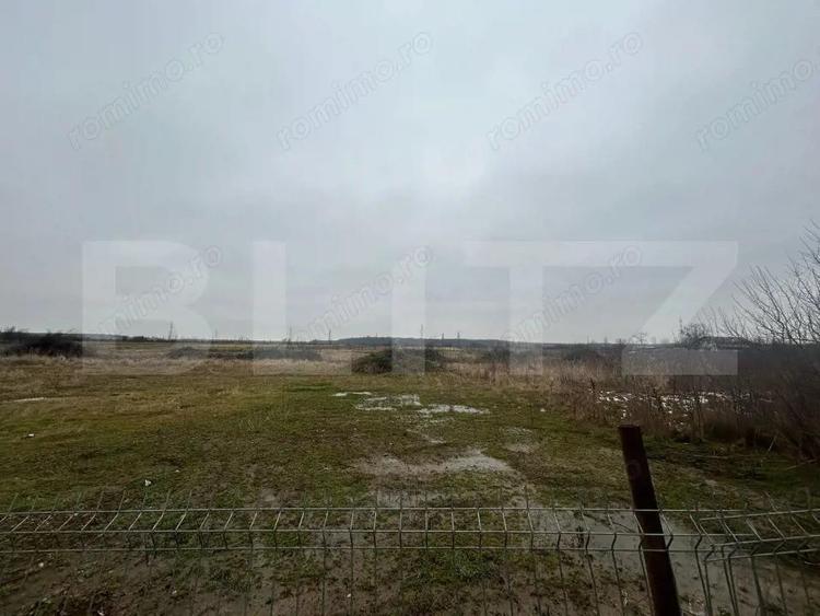 TEREN | PRISEACA | 1716 MP | INTRAVILAN | 20 MP FRONT STRADAL | - 1