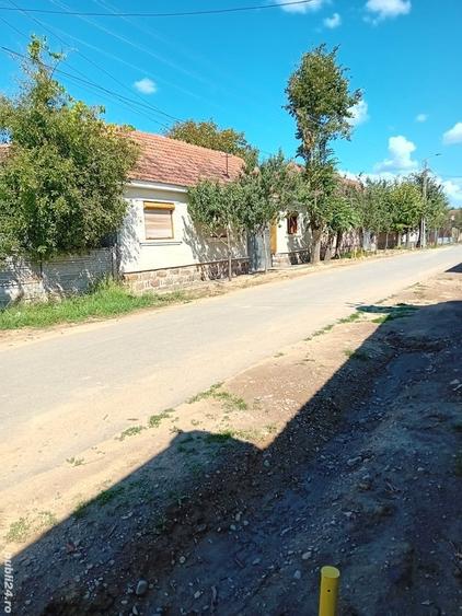 Casa de vanzare la tara,teren5000 mp plus o hala de 100 m p. - 7