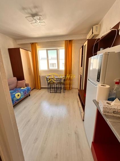 Camera Camin Bularga, Mihail Sturdza - 7