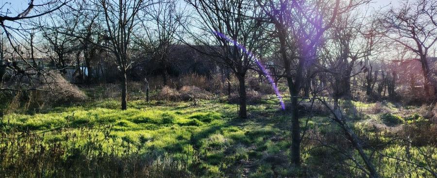 Teren Intravilan + casuta si anexe - 1