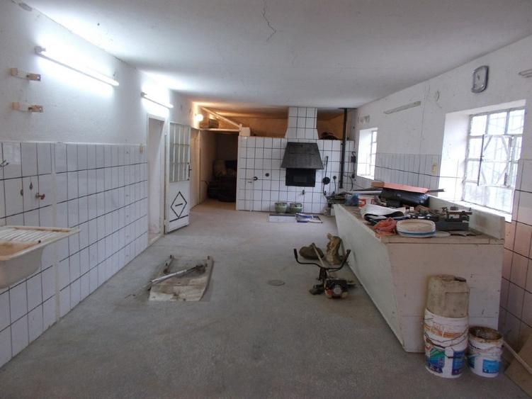 Casa, hala, locuinta sau afacere, Padureni, Timis, comision=0% - 6