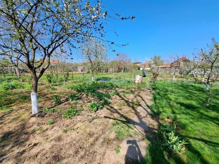 RECO Casa Marghita - 3