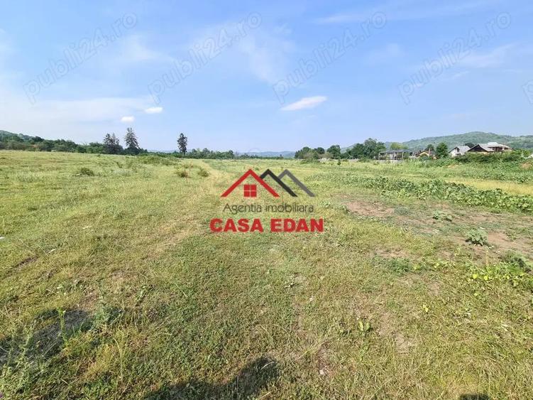 Teren intravilan in Campina, 7500mp--35e - 2