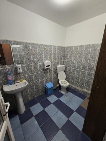 Hala 1000mp zona Bradului - 4