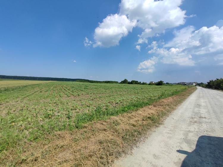 Corbeanca-teren-PUZ-proiect-avans cu rest de plata in 5 ani - 10