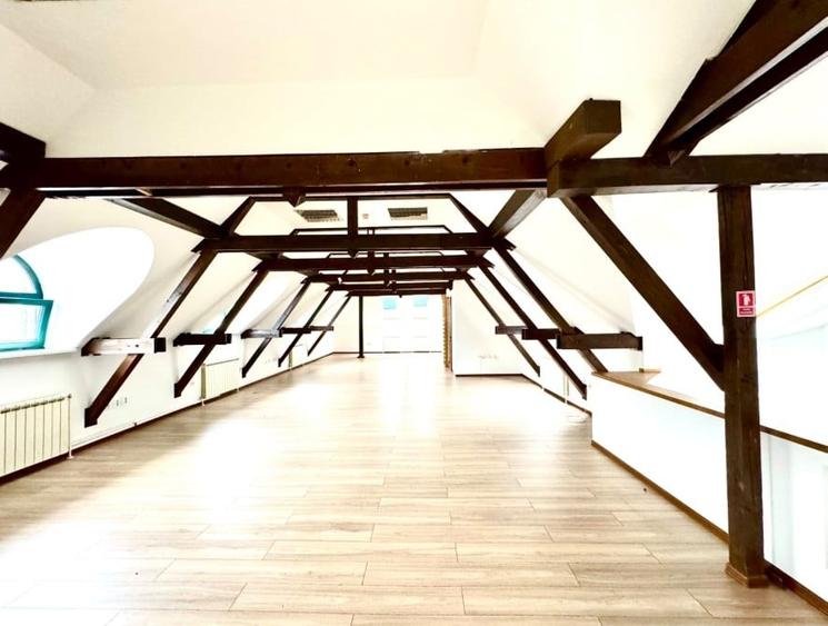 Vila D+P+E+M, 480 mp utili, Aviatorilor - 9