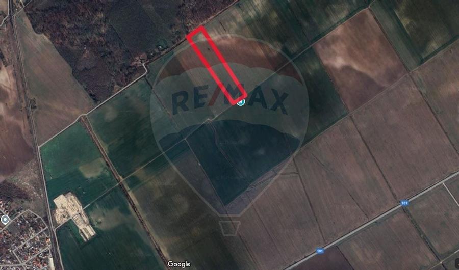 Teren intravilan Buftea, langa Padurea Mocanului - 4