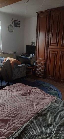 Casa autonoma energetic la 10min de molul din Arad - 6