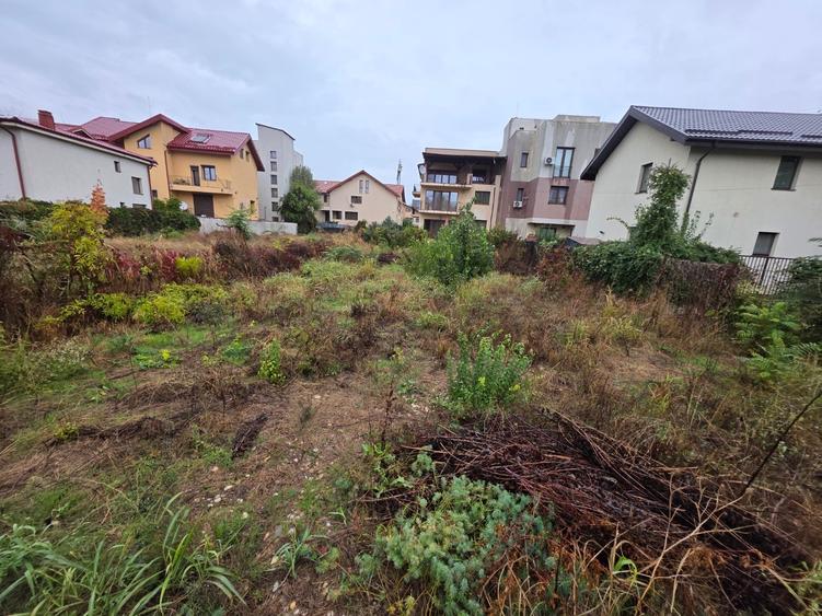 B-ul Nicolae Grigorescu, chiar la pasajul peste Spaliul Unirii, - 7