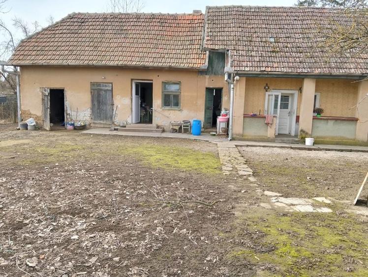Vand casa veche in Nisipeni / Elado regi paraszthaz Sandorhomok-ban - 4