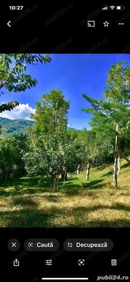 Okazie Vind casa in Sotrile toate utilitatile,teren 1200mp ,53000 E - 5