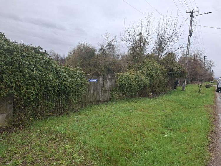 Teren de vanzare Gheboieni DB intravilan+extravilan - 5