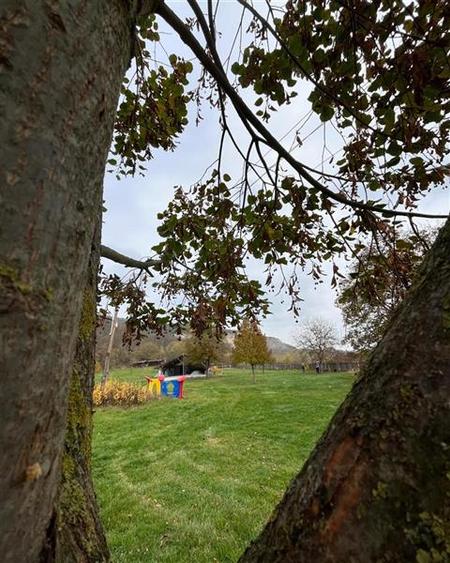 Transilvania Camping, domeniu de 14.400mp,Sanmarghita de Mures:2cladiri, apartam - 26