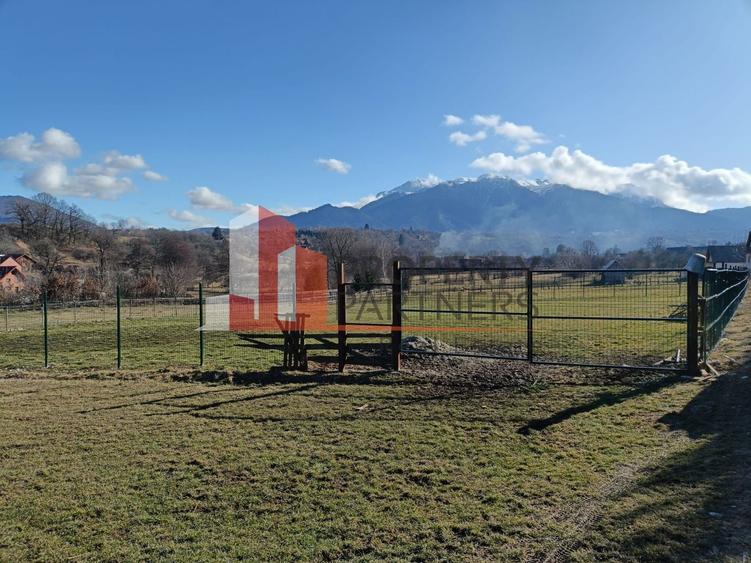 Teren intravilan 1.495 mp | Bran- Tohanul Nou | Vedere Bucegi | Deschidere 45 m - 1