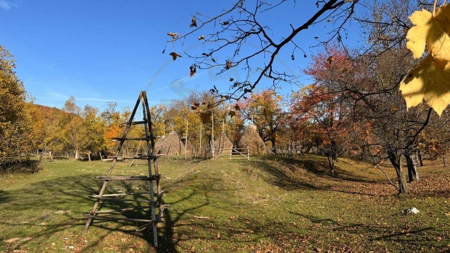 Teren Salatrucu - 7500 mp - 7