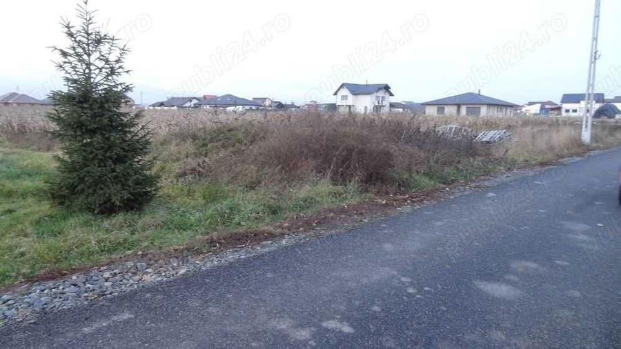 Vand teren Mocira - 2