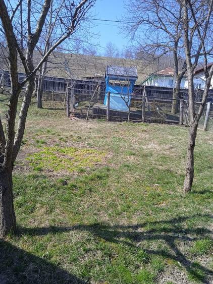 Casa batraneasca Oraseni Vale - 4