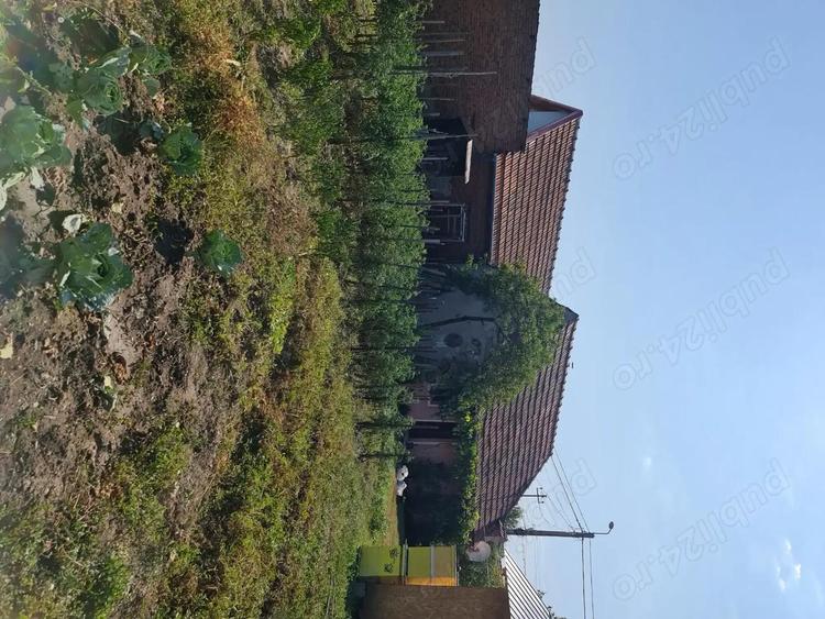 Vand casa, curte si gradina cu magazie - 2