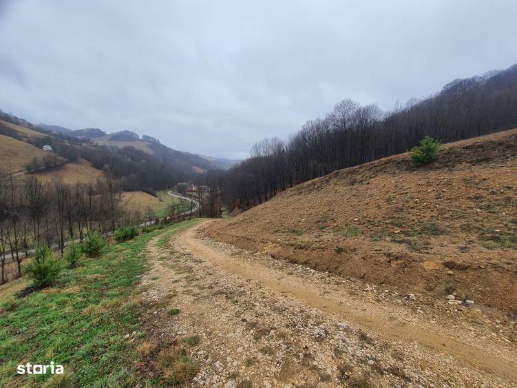 Teren Poiana Marului pretabil investitie 5 euro/mp - 10