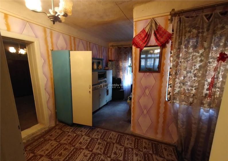 Bogodint, Casa 440mp cu 4 Hectare Teren, Pret Negociabil - 7