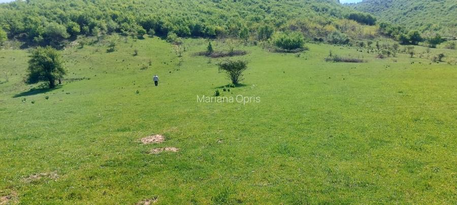 Teren extravilan 3408 mp in Gura Raului
