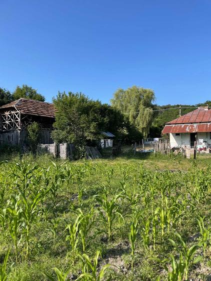Vand Casa + teren 12.000 mp in Cernisoara, sat Modoia, Valcea - 2