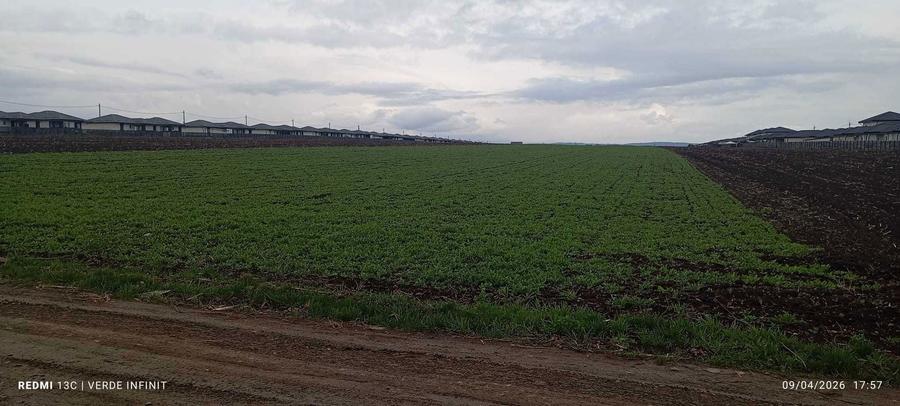 Teren Intravilan, Vorovesti 1 ha - 4