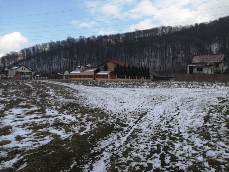 Teren de vanzare - 2