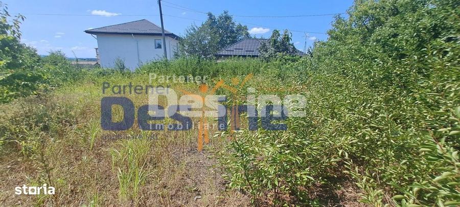 Teren Intravilan 1680 Mp , Miroslava Centru - 3