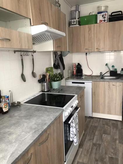 Apartament cu o camera de inchiriat in zona Sagului - 2