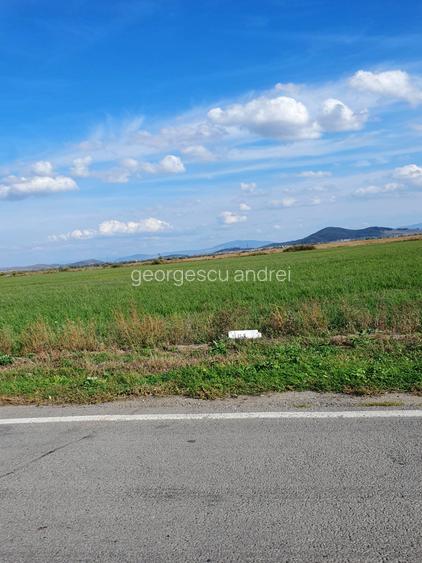 Codlea, 10000 mp, teren industrial, 15 e/mp