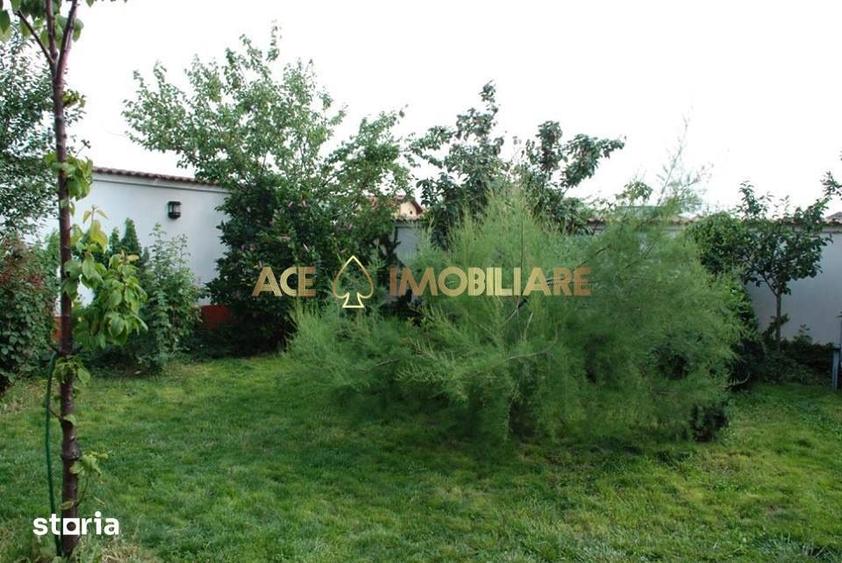 Casa 6 Camere de vanzare | Ilfov | Rosu | Gradina | Curte proprie - 7