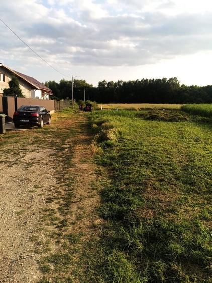 Teren de poveste Domnesti Sat Teghes langa padure - 4