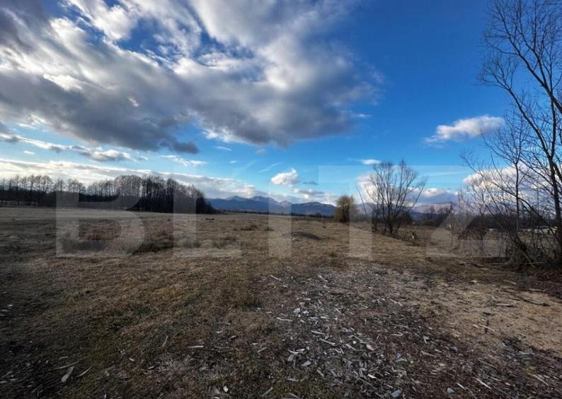 Teren 8000 mp, zona Pestisani - 1