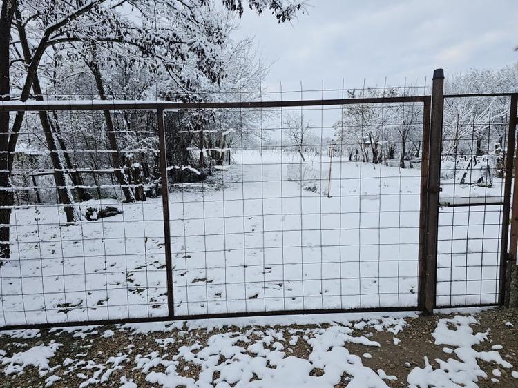 Spațiu comercial cu o suprafață de 150 mp, Suplacu de Tinca, Bihor - 5