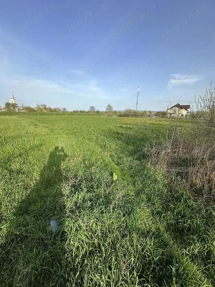 Teren intravilan in Tataresti, Satu Mare - 2
