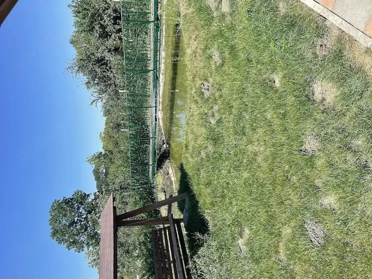 Casă cu Teren 2650 Mp în Sacoșu Turcesc
