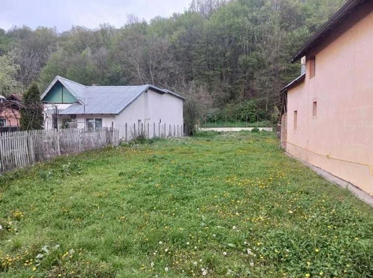 Vand teren intravilan Bascov - 3