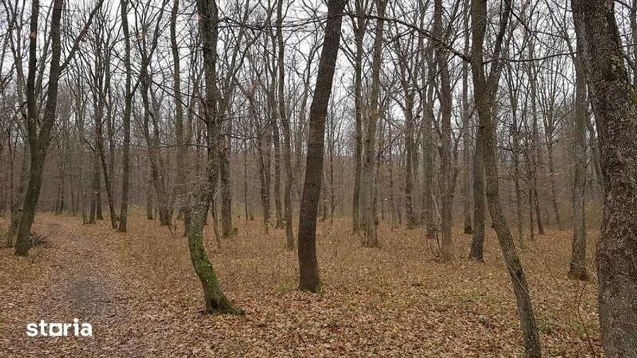 Teren de 90000 mp, în Central